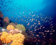 2palawan.jpg