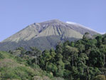 lacastellanaside.jpg
